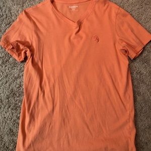 Express V neck T Shirt